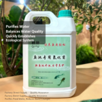 Nitrifying Bacteria - 图片 2